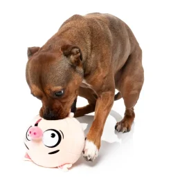 Dog Toy - Snoop Hogg