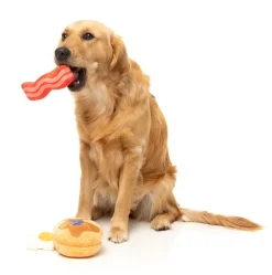 Dog's Breakfast 3PK - Dog Toy