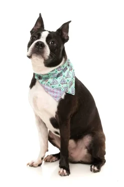 Dreamtime Koala - Bandana