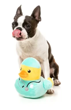 Ducktor - Dog Toy