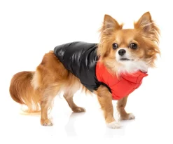 East Harlem Puffer Jacket - Red