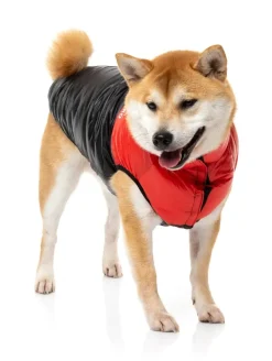 East Harlem Puffer Jacket - Red