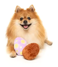 Easter Egg 2PK - Dog Toy