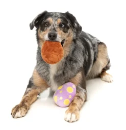 Easter Egg 2PK - Dog Toy