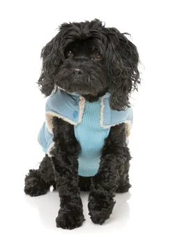 Essential Puffer Jacket - Blue