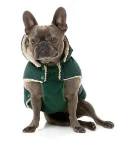 Essential Puffer Jacket - Forest Green