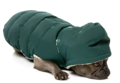 Essential Puffer Jacket - Forest Green