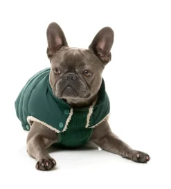 Essential Puffer Jacket - Forest Green