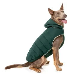 Essential Puffer Jacket - Forest Green