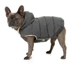 Essential Puffer Jacket - Charcoal