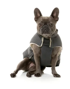 Essential Puffer Jacket - Charcoal