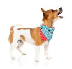 Fa La La La Mingo Bandana