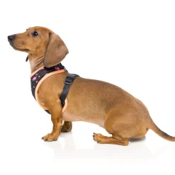 Fabmingo Dog Harness