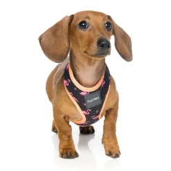 Fabmingo Dog Harness