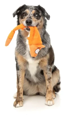 Farewell Fox - The Yeetz - Dog Toy