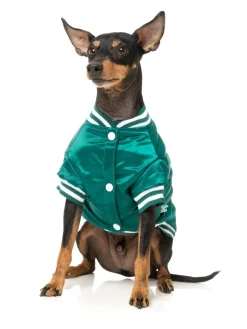 Fastball Jacket - Green