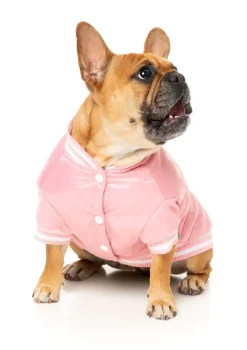 Fastball Jacket - Pink