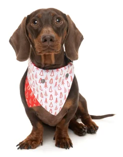 Festive Trees Bandana