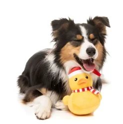Festive Waddles - Dog Toy