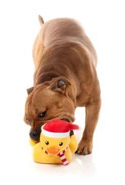 Festive Waddles - Dog Toy