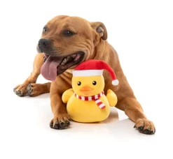 Festive Waddles - Dog Toy