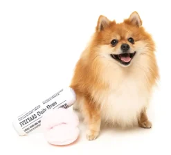 Fetch My Slippers & Paper 2PK - Dog Toy