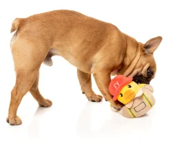 Firequacker - Dog Toy
