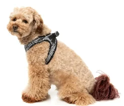 Fitzroy - Dog Step In Harness