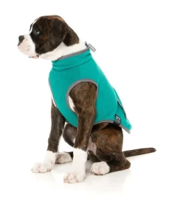 Fitzroy Jacket - Green