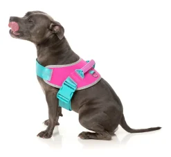 Flash Harness - Bubblegum