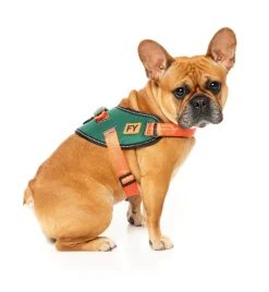 Flash Harness - Commando