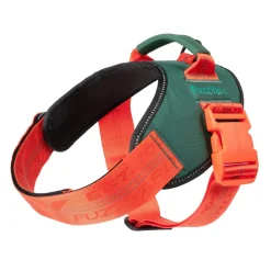 Flash Harness - Commando