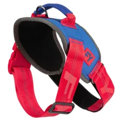 Flash Harness - Patriot