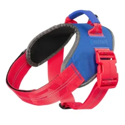 Flash Harness - Patriot