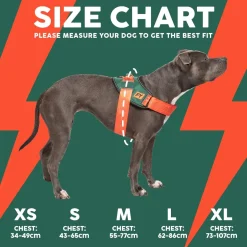 Flash Harness - Patriot