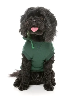 Flash Hoodie - Green