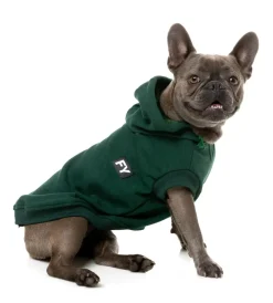 Flash Hoodie - Green