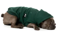 Flash Hoodie - Green