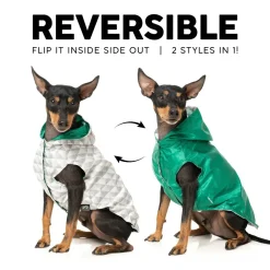 Flipside Raincoat - Green/Beige