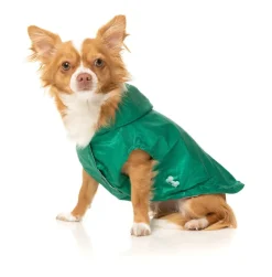 Flipside Raincoat - Green/Beige