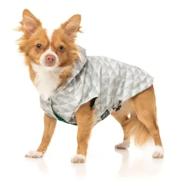 Flipside Raincoat - Green/Beige