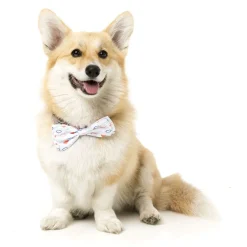 Flying High Pet Bow Tie