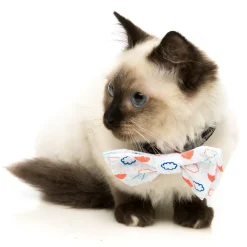 Flying High Pet Bow Tie