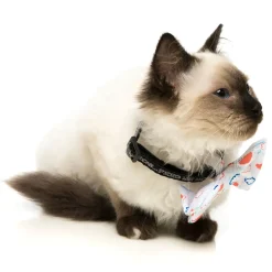 Flying High Pet Bow Tie