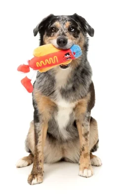 Franky - The Homies - Dog Toy