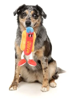 Franky - The Homies - Dog Toy