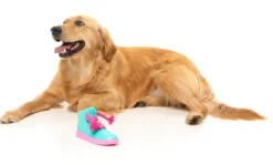 Fresh Kicks 'N' Licks - Interactive Chew Toy