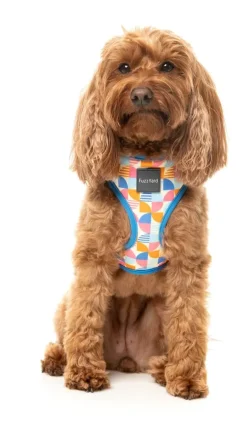 Fresh Zest - Dog Harness