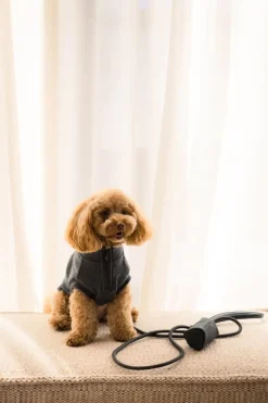 FuzzYard Life Atelier Dog Collar - Slate Grey