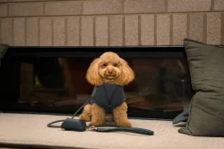 FuzzYard Life Atelier Dog Collar - Slate Grey